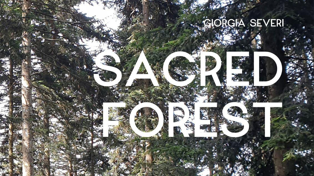 sacred forest dicembre 2022 gennaio 2023 museo diocesano faenza